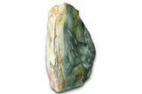 Freestanding Gary Green Jasper (Larsonite) Bog Wood - Oregon #377938-2